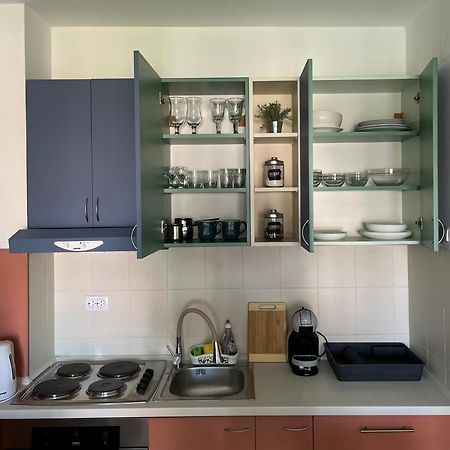 Apartment Vera With Free Garage Novi Sad Esterno foto