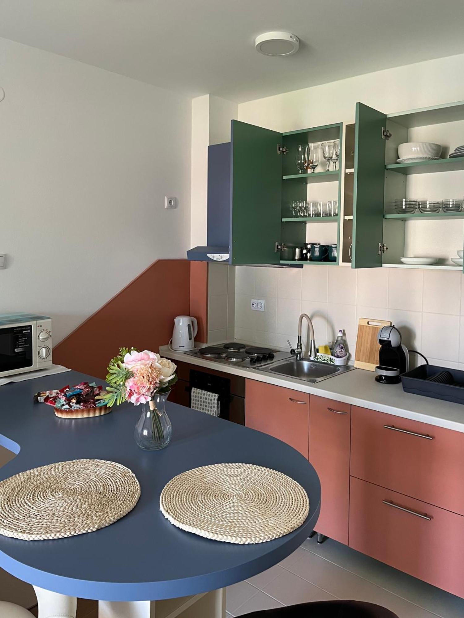 Apartment Vera With Free Garage Novi Sad Esterno foto