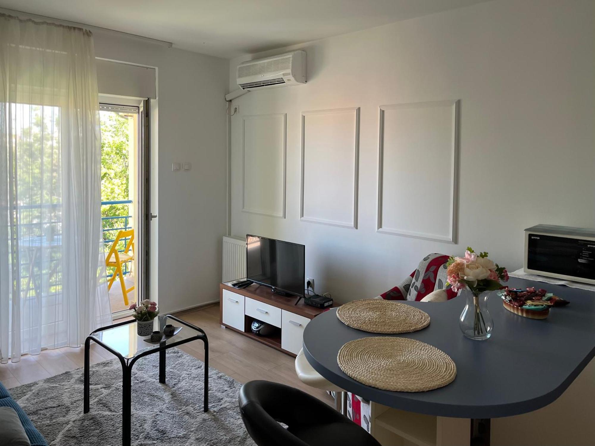 Apartment Vera With Free Garage Novi Sad Esterno foto